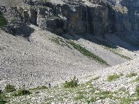 Stanley Glacier Trail, Kootenay NP